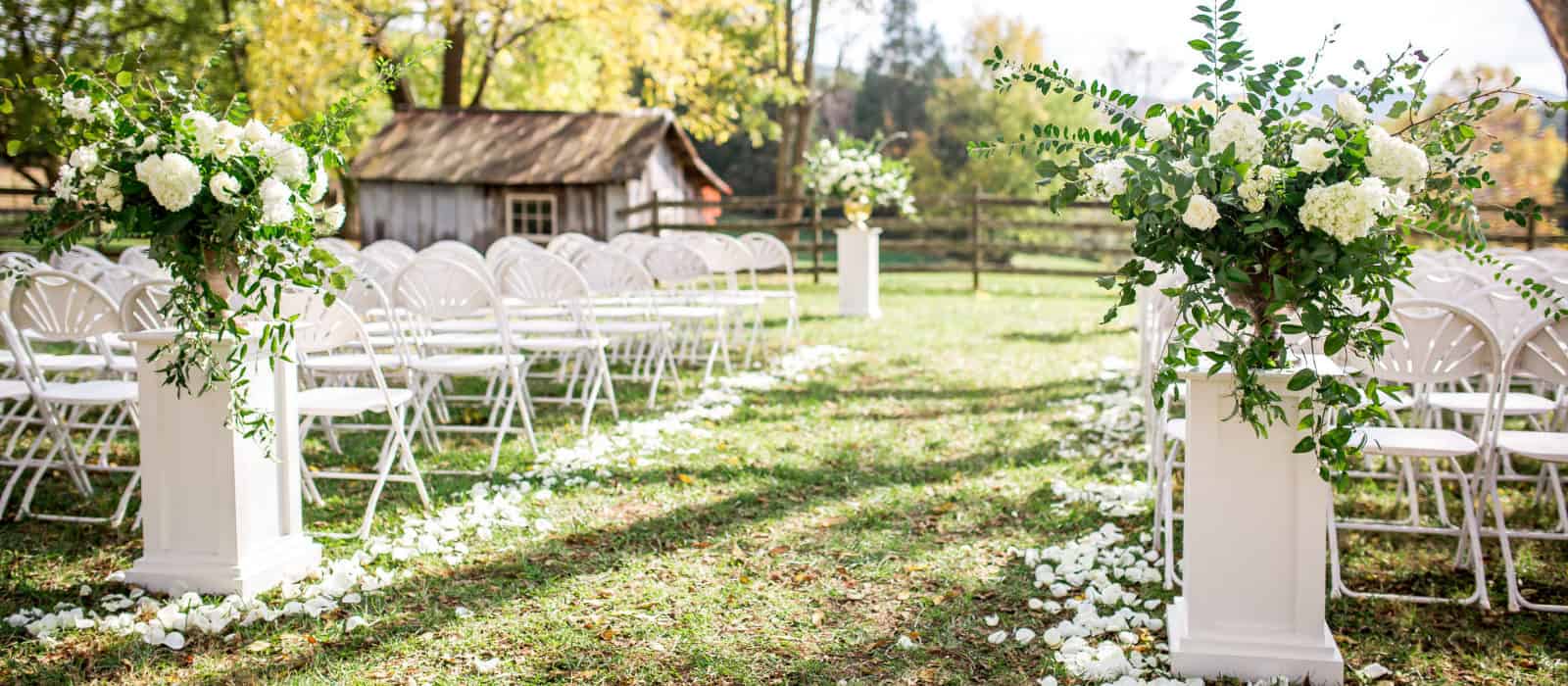 LindseyHinkleyPhotography-rose-pedals-on-ground